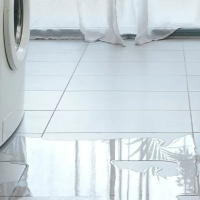 Appliance Leak Cleanup in Tice, FL