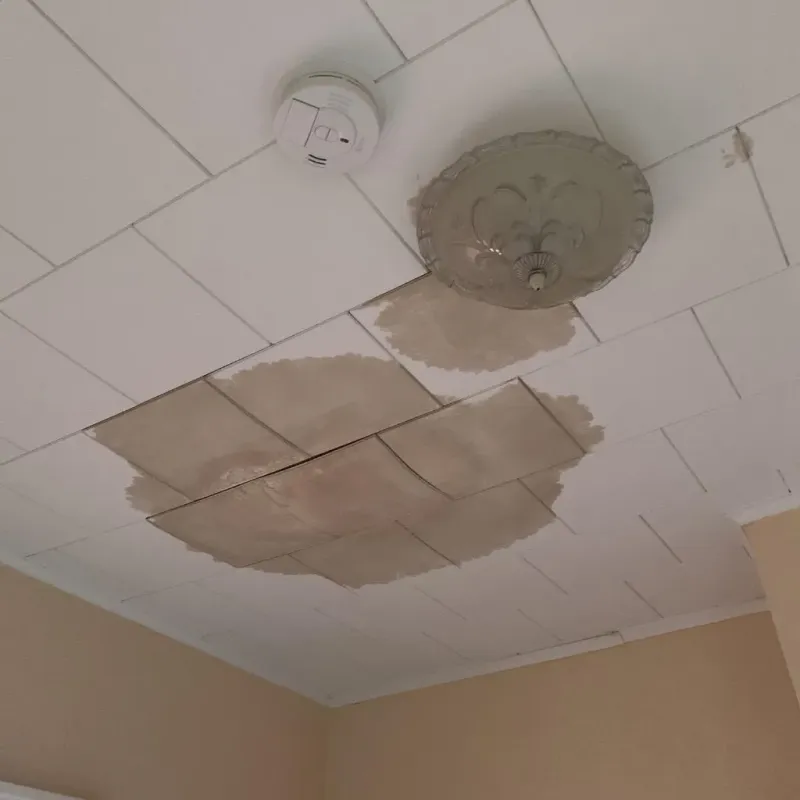 Ceiling Water Damage Repair in Tice, FL