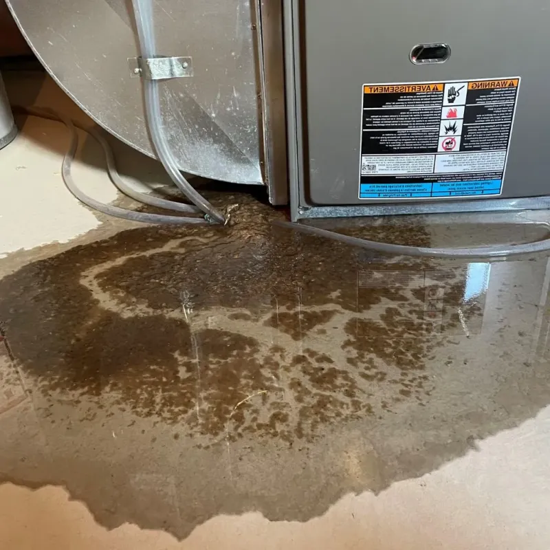 Pipe Burst and Leak Restoration in Tice, FL