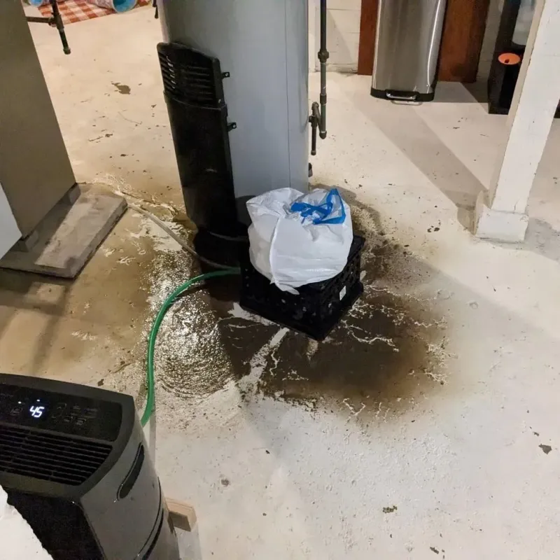 Sewage Backup Cleanup Service in Tice, FL
